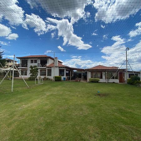 Hostal Villa Anita Вилья-де-Лейва Экстерьер фото