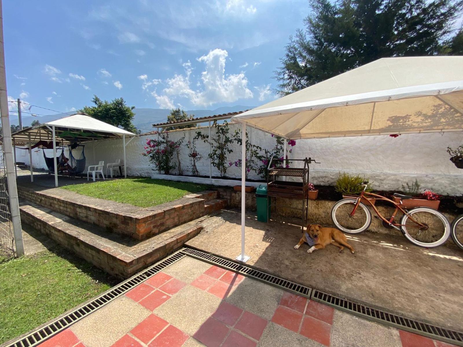 Hostal Villa Anita Вилья-де-Лейва Экстерьер фото